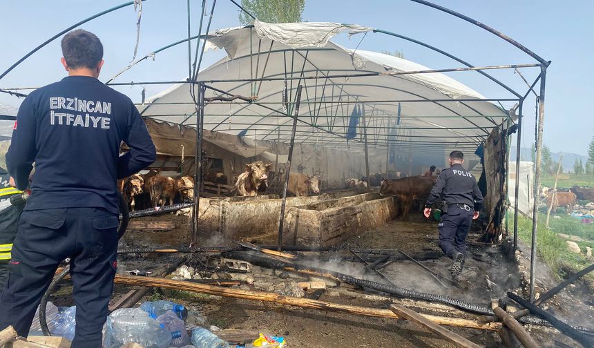 Erzincan'da hayvanların bulunduğu ahırda yangın çıktı!