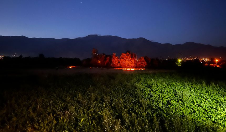 Erzincan’da yangın: Başka bölgelere sıçramadan kontrol altına alındı!