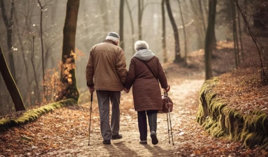 Erzincan Emekli Şehri mi Oluyor?