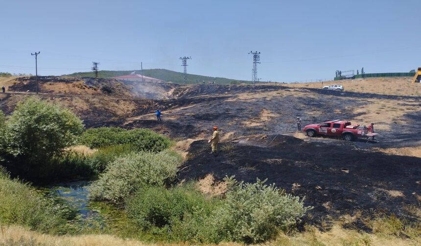 Ormanlık alanda yangın çıktı