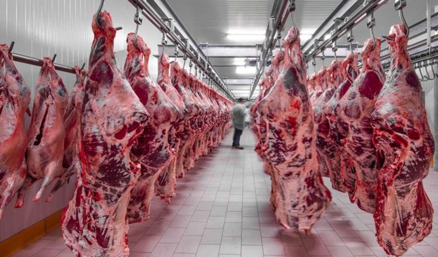ET VE SÜT Kurumu Düğmeye Bastı: Erzincan’da Et Fiyatlarına Müdahale!