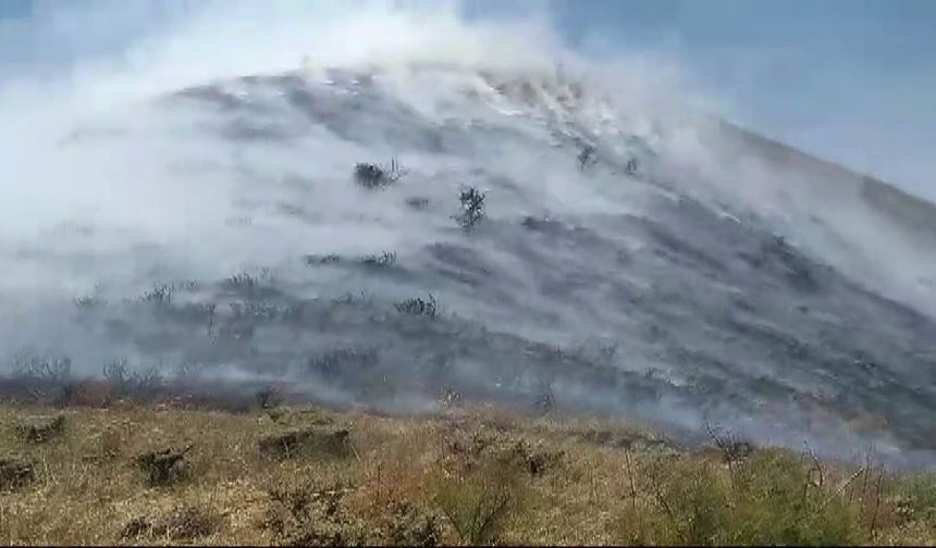 Otluk alanda çıkan korku dolu anlar yaşattı! Video haber