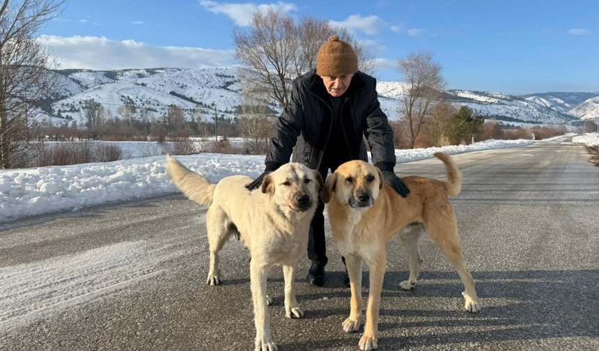 Binali Yıldırım Sezonu Başlıyor...