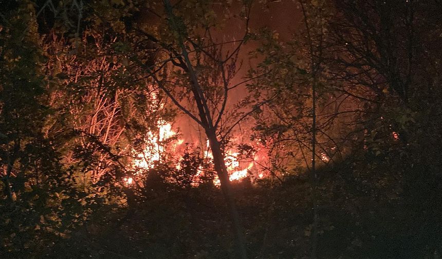 Erzincan'da ev yangınında korkulu anlar..