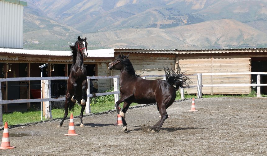 Erzincan’da Tarım sektörü birçok alana destek sağlıyor