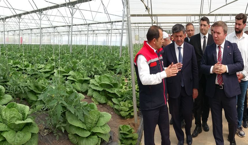 Erzincan tarımında bir ilke imza atıldı...