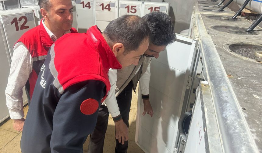 Uluköy’de  yılda 15 milyon yavru üretiliyor…