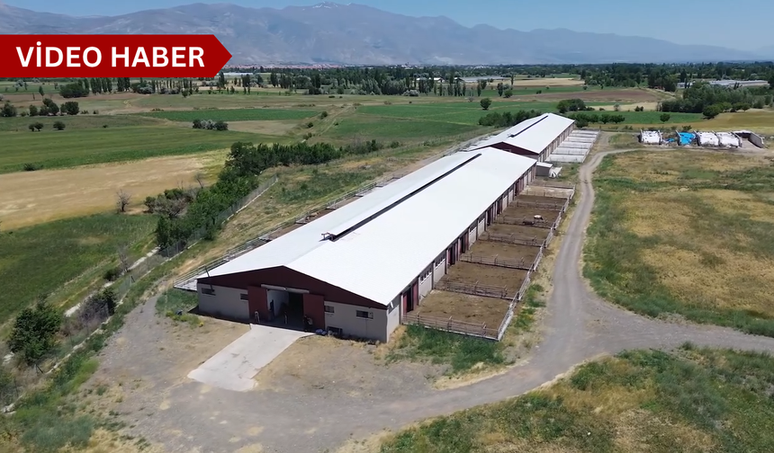 Erzincan’da hayvancılığın kalbi bu merkezde atacak...