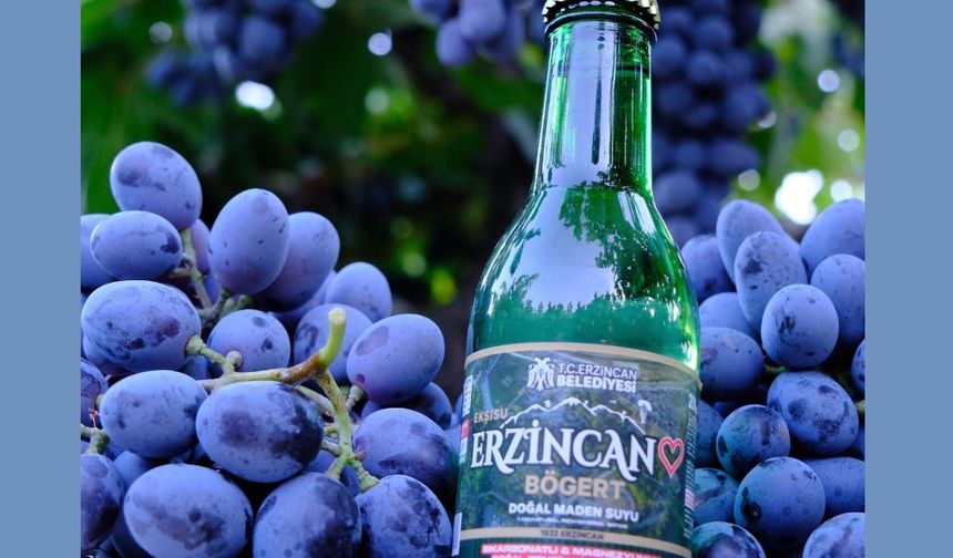 Doğal Maden Suyu Gerçeği: Her Gün Tüketildiğinde Vücutta Neler Değişir?