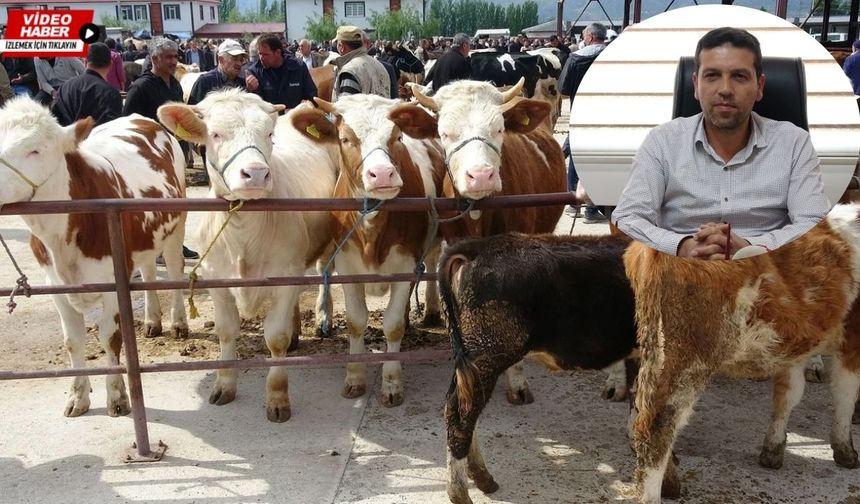 Erzincan Veteriner Hekimler Odası’ndan hayati uyarılar!