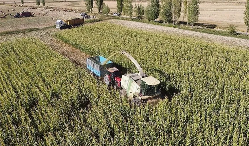 Erzincan’da tarıma yüksekten müdahale