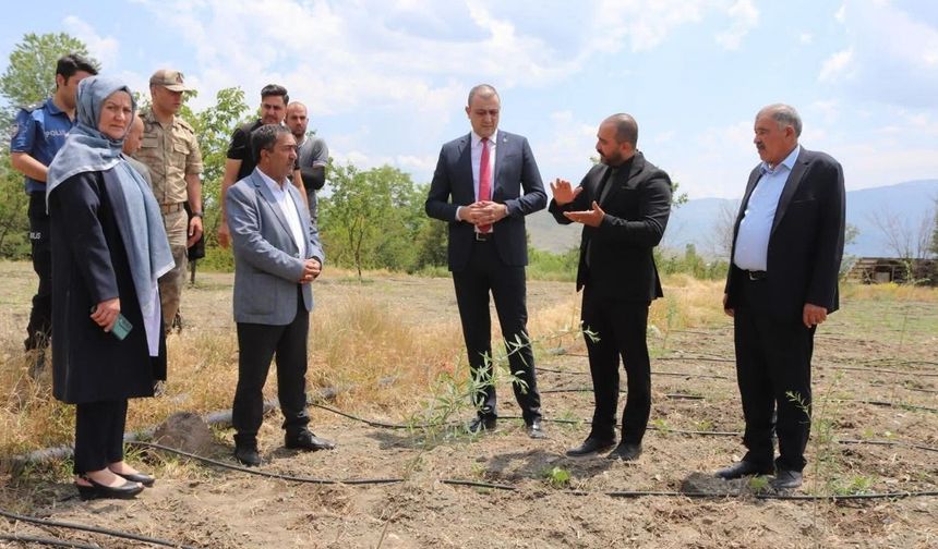 Erzincan’a yenilikçi adım: Goji Berry bahçesi kuruldu