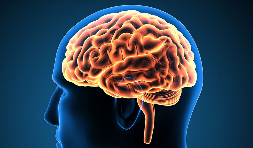 Beyin tümörünün belirtileri nedir?