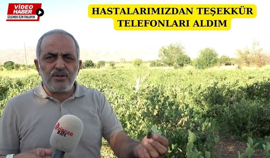 Erzincan’da Aronya umudu: Kanser hastaları iyileşiyor