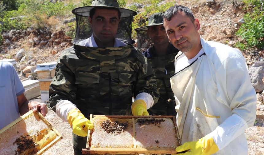 Erzincan'da çiçeklerden toplanan şifada hasat sevinci...