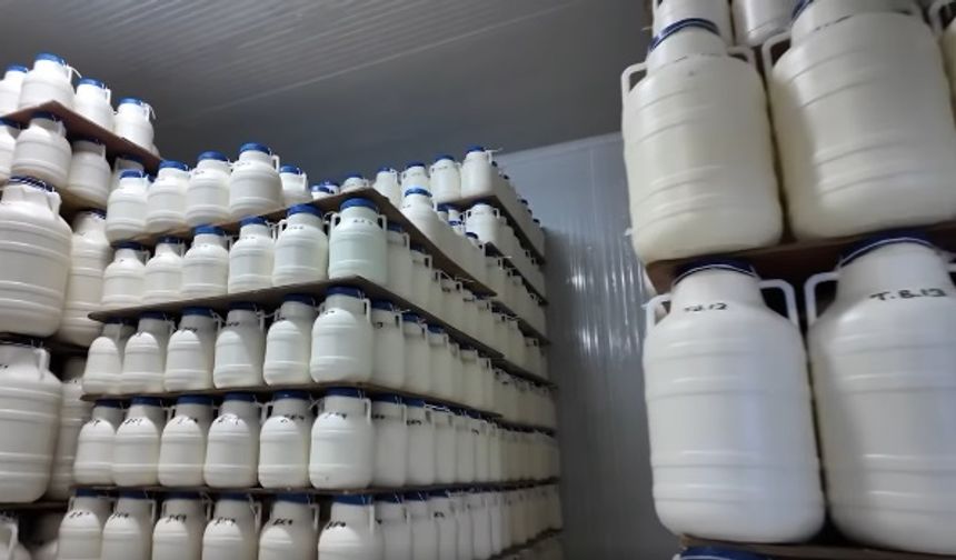 Erzincan’ın efsane lezzeti Dünya yolunda