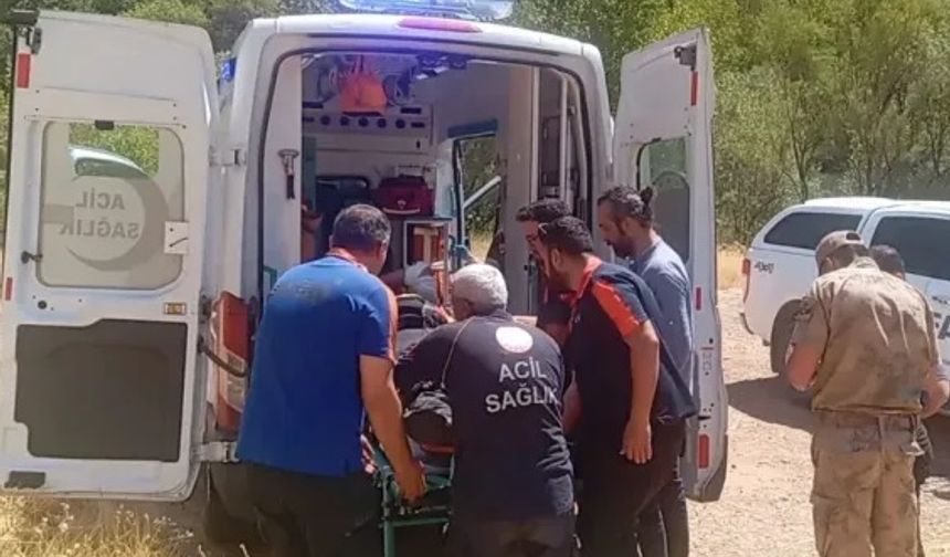 Erzincan Tunceli yolunda kaza