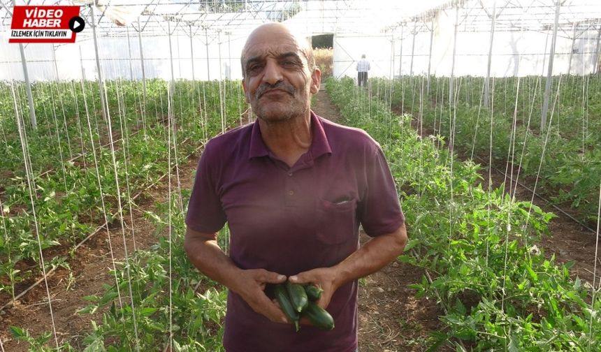 Erzincanlı üreticiden seracılık çağrısı