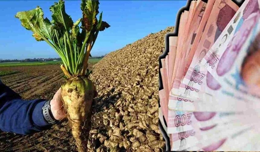 Aylar Geçti Ödeme Yok: Erzincanlı Üretici Zor Durumda