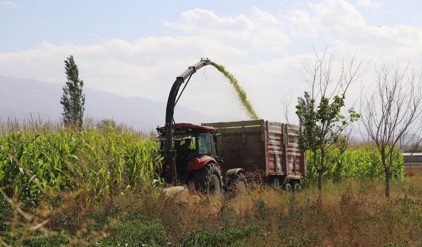 Erzincan’da Hangi Ürüne Ne Kadar Destek Verilecek? İşte Kalem Kalem Rakamlar