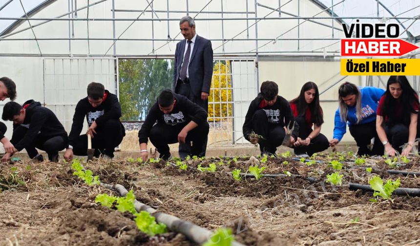 Erzincan’ın tarım öğrencileri hasatlarının satışına başladı
