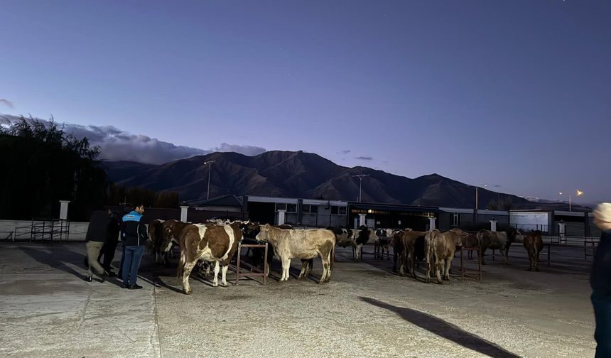 Erzincan İl Müdürlüğü tüm önlemleri alarak pazarı açtı...