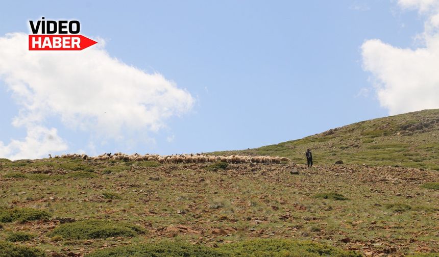 Meralarda Hüzünlü Dönüş Başladı