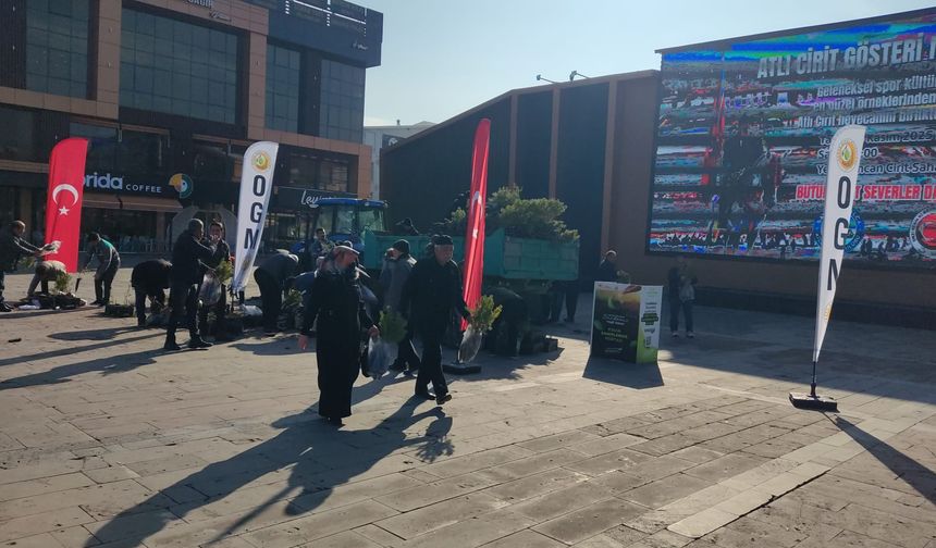 Erzincan Dörtyol Meydanı’nda yeşil kuyruk!