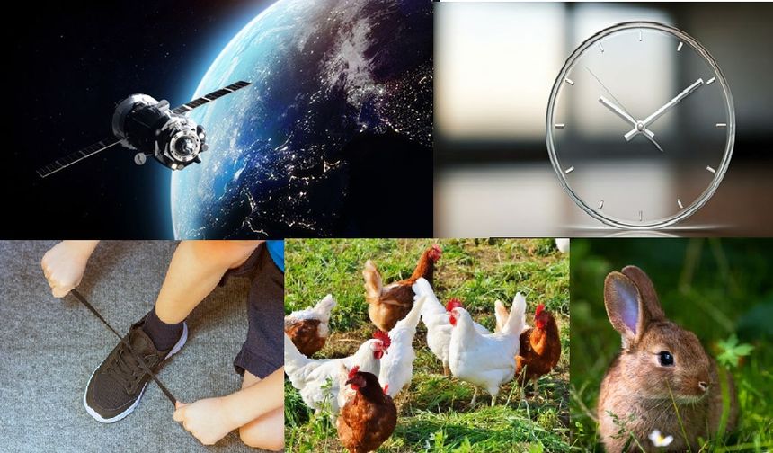 Birbirinden ilginç 10 gerçek ve bağlantıları