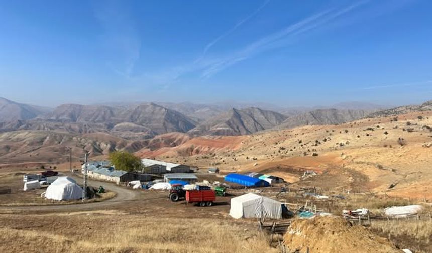 Erzincan'da 5 bin küçükbaşlık tesis mercek altında