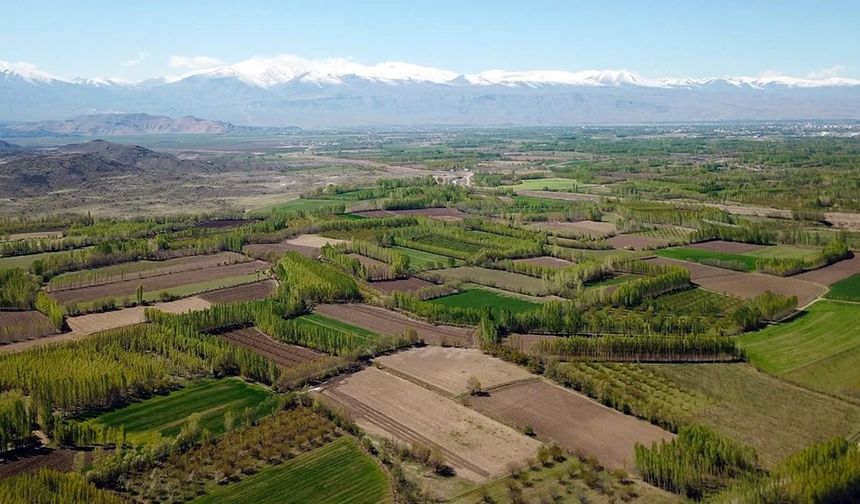 Tarımsal üretimde Türkiye bu sene her alanda düşüşte