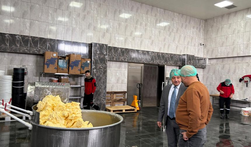 Erzincan’ın beyaz altını: AB tescilli tulum peynirinde güvenli üretim