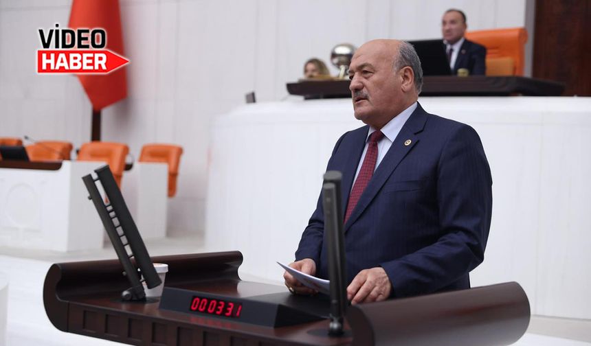 Milletvekili Karaman, Ergan Dağını TBMM'de konuştu