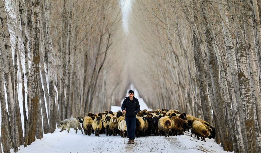 İş Dünyasında "Yalnızlık" Alarm Veriyor!