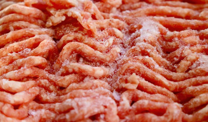 Erzincan’da Ramazan Boyunca Donmuş Kıyma 194 Liradan Satılacak