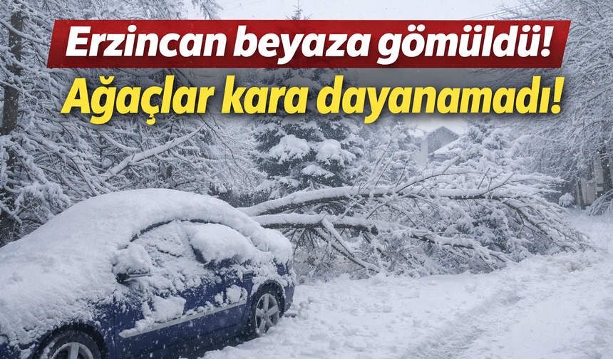Erzincan beyaza teslim: Karın ağırlığına dayanamayan ağaçlar devrildi!