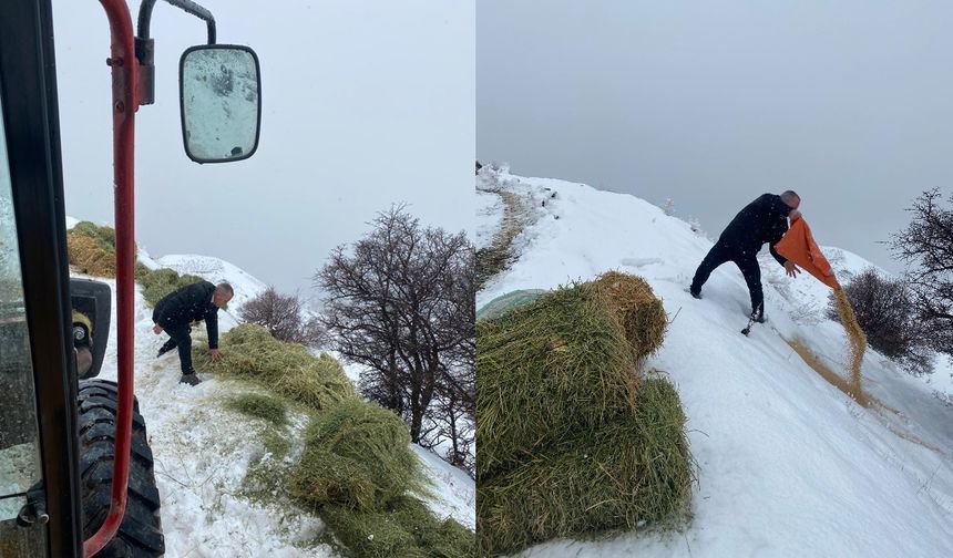 Erzincanlı Muhtarlardan Sarp Kayalıklarda "Can" Mesaisi