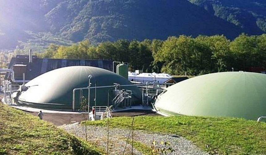 Erzincan’da Hayvan Atıkları Enerjiye Dönüşürse Elektrik Dengesi Değişebilir