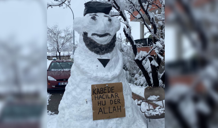 Erzincan'da sokakların yeni sakinleri ortaya çıktı: İşte o kareler..