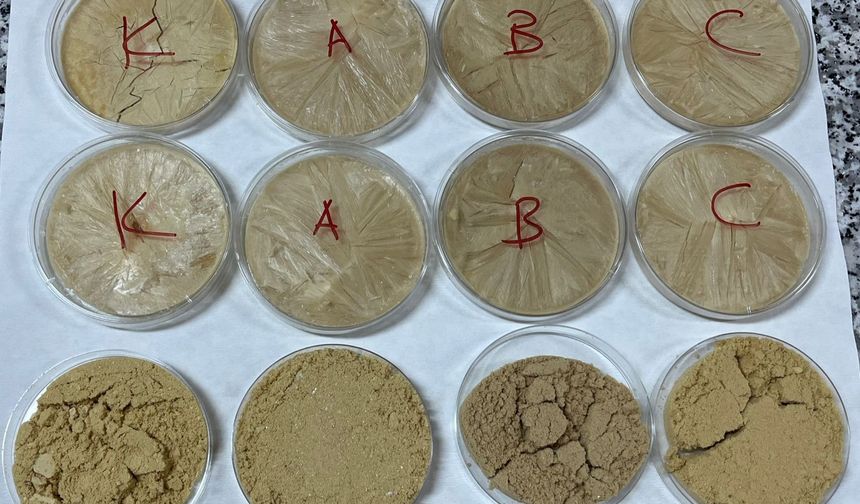 Erzincan’da Geliştirildi, Q2 Dergide Yayımlandı