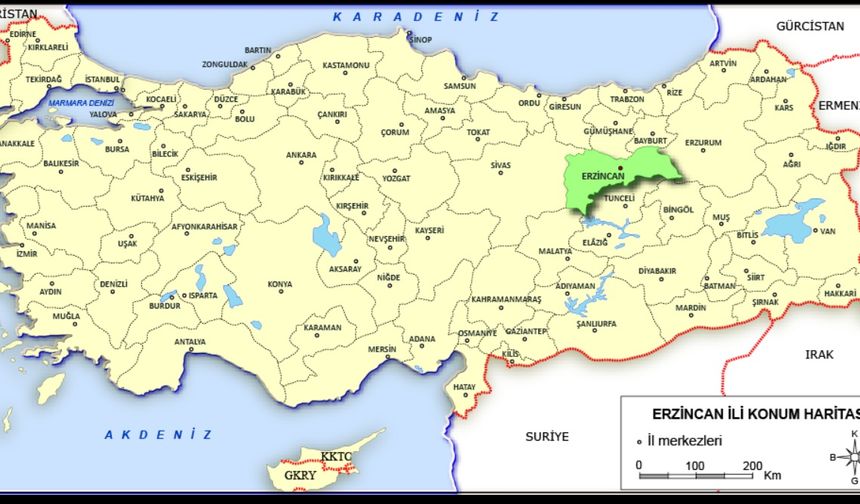 Erzincan'da kaç kişi evlendi? TÜİK açıkladı