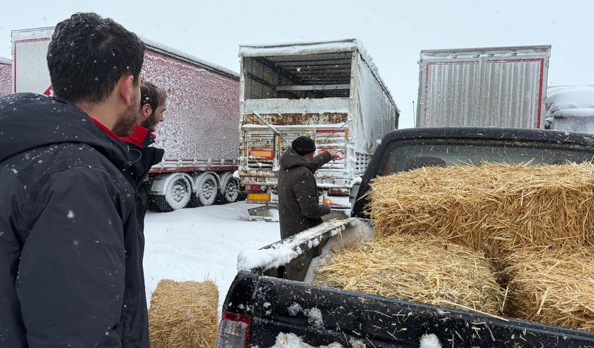 Açlık Riskine Müdahale: Tarım Ekipleri Seferber Oldu