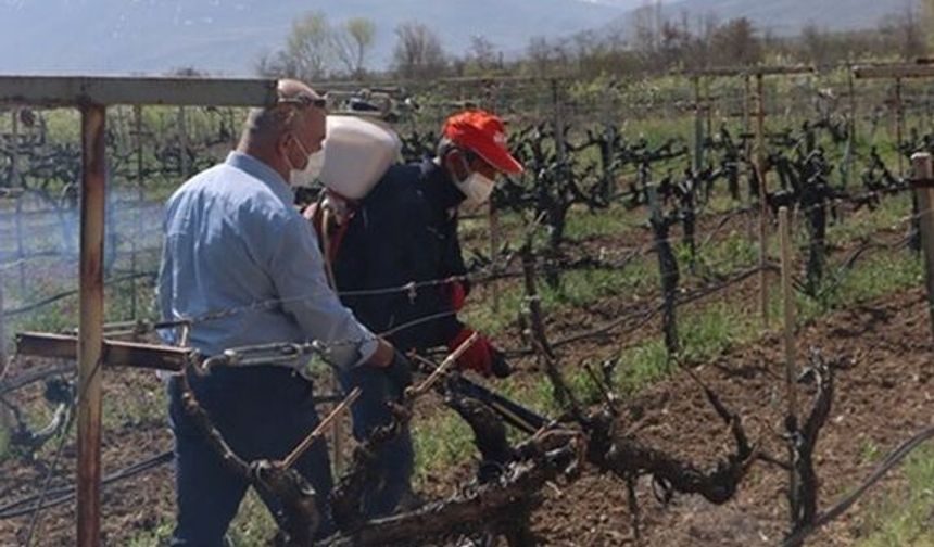 Erzincanlı Üreticilere Kritik Uyarı: Zamanı Yaklaşıyor