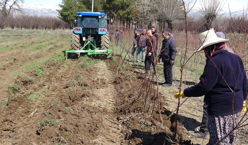 Erzincan Bahçe Kültürleri Fidan Satışına Başlayacak