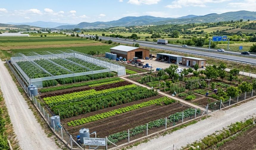 Erzincan’da Kaçırılmayacak Fırsat: 13 Bin m² Tek Parça Arazi Satışta!