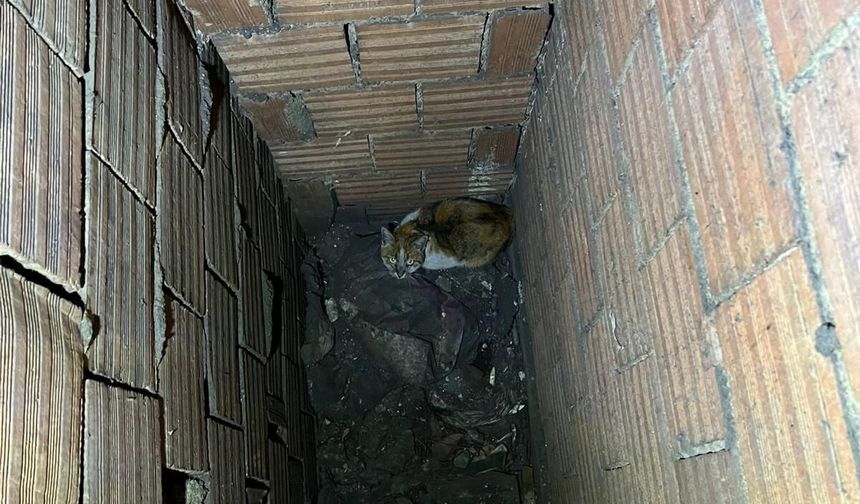 Erzincan'da daracık boşlukta umut mücadelesi