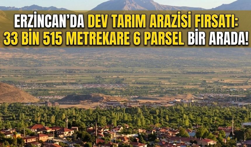 Erzincan’da Dev Tarım Arazisi Fırsatı: 33 Bin 515 Metrekare Bir Arada!