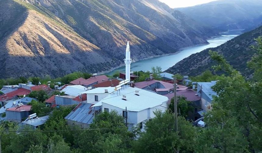 Kemaliye'de Çıkan Yangın Can Aldı