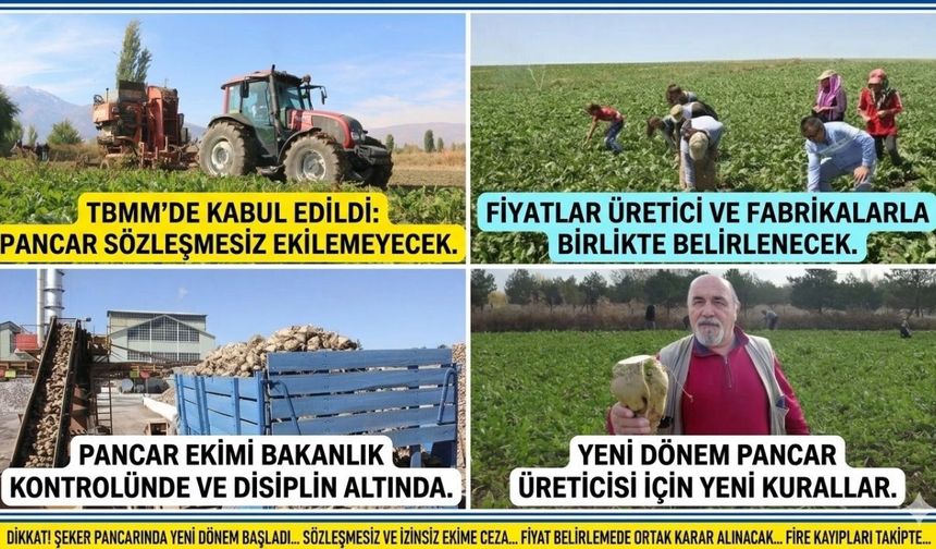 Şeker Pancarında Devrim Niteliğinde Kararlar: Sözleşmesiz Ekim Yasaklanıyor!