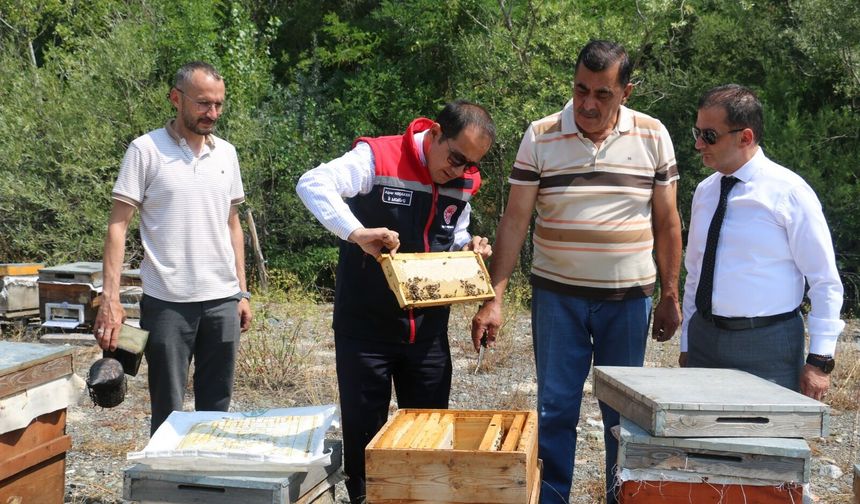 Erzincan başvurdu: 17. Tescil geldi, Hayırlı Olsun...